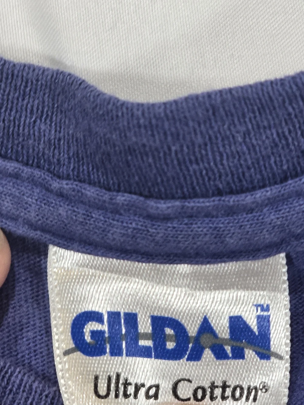 Gildan Blue Dierks Graphic Short Sleeve Tee